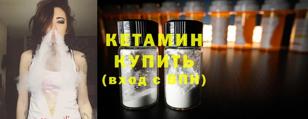 трава Новозыбков