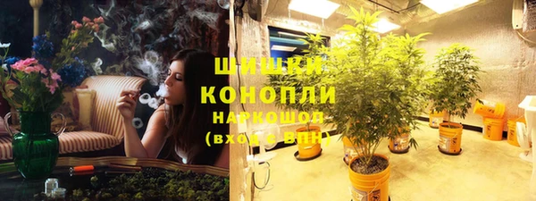 амф Новодвинск