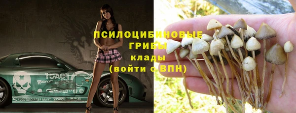 трава Новозыбков