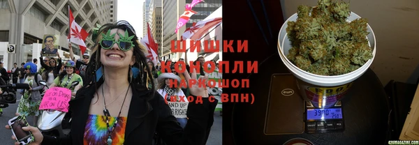 каннабис Новокубанск