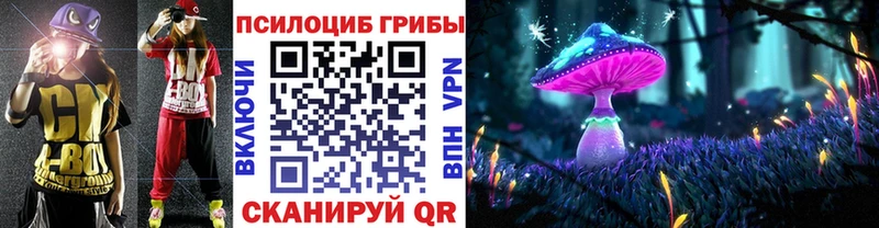 Псилоцибиновые грибы Psilocybe  цены   Шахты 