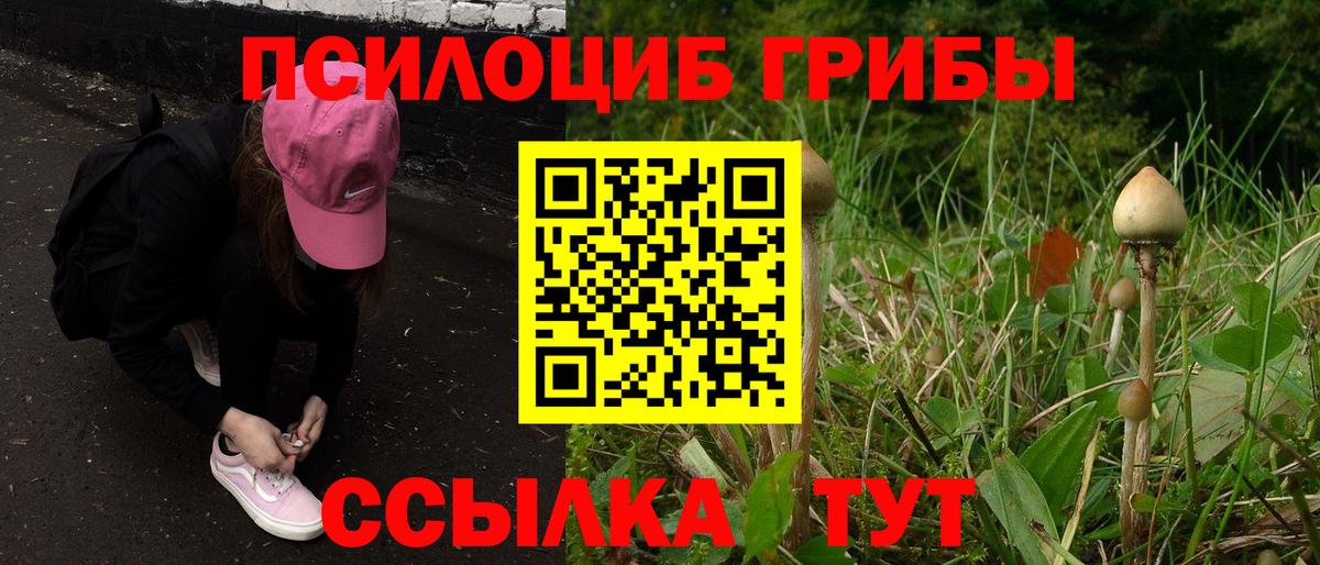 Шахты  Галлюциногенные грибы мицелий  Псилоцибиновые грибы MAGIC MUSHROOMS  Вход с VPN 