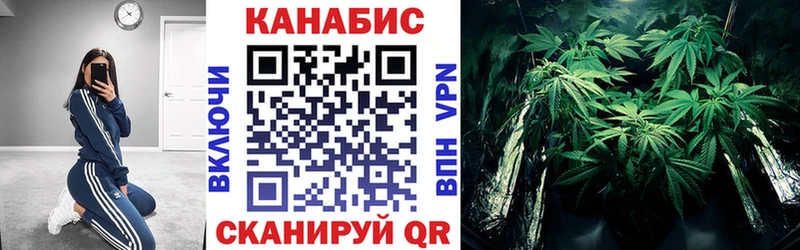 где купить Шахты Канабис ГИДРОПОН